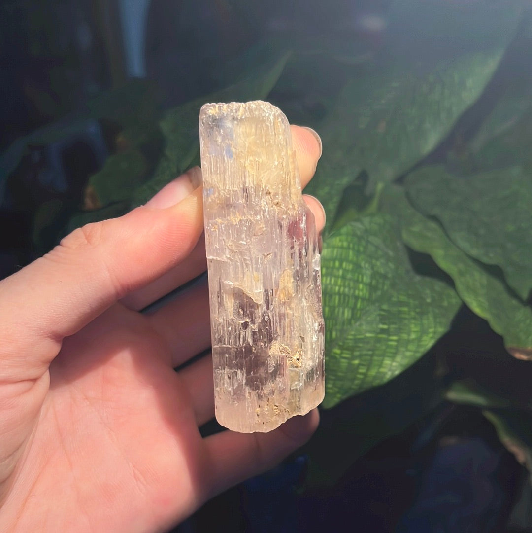 Clear Kunzite