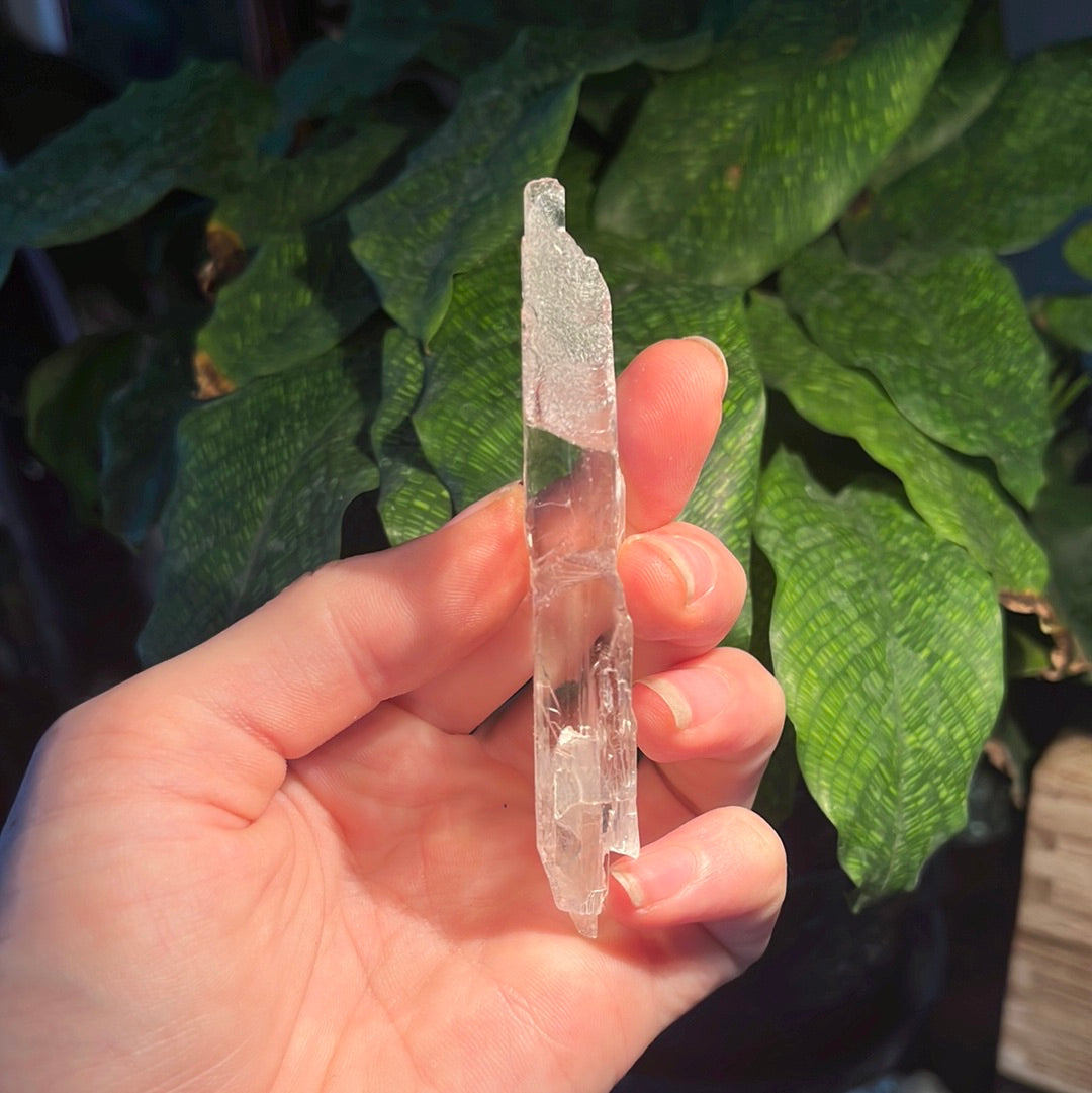 Kunzite Slice