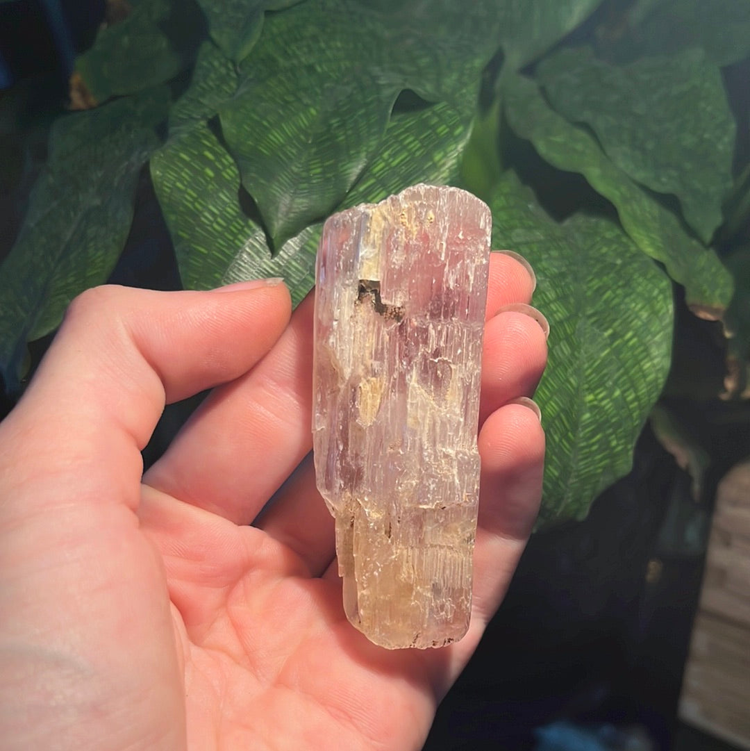 Clear Kunzite