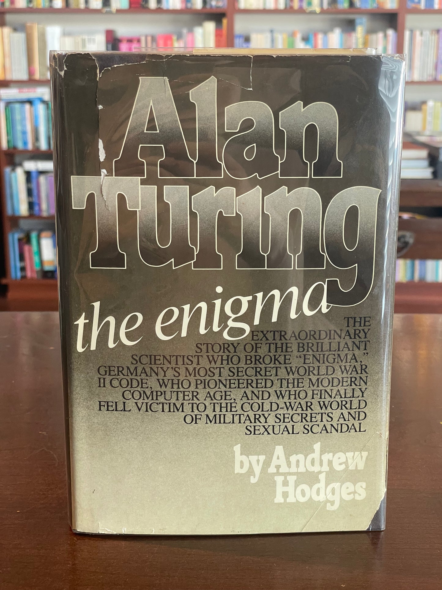 Alan Turing by Andrew Hodges