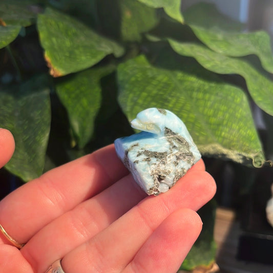 Carved Larimar Dolphin