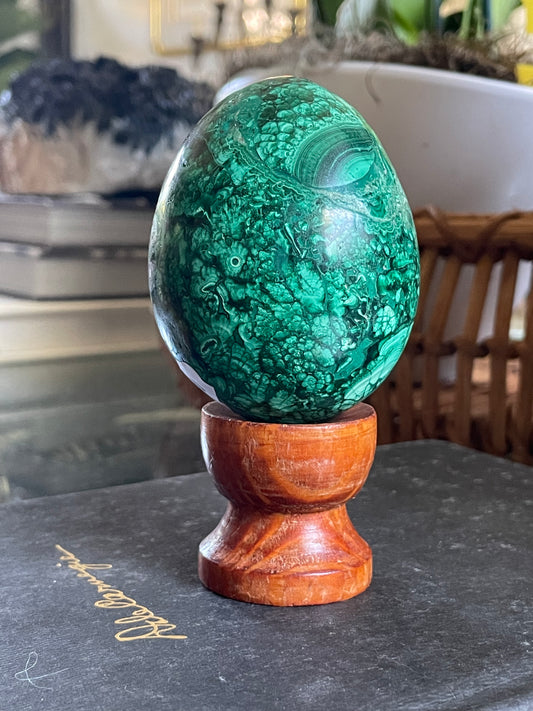 African Malachite Egg