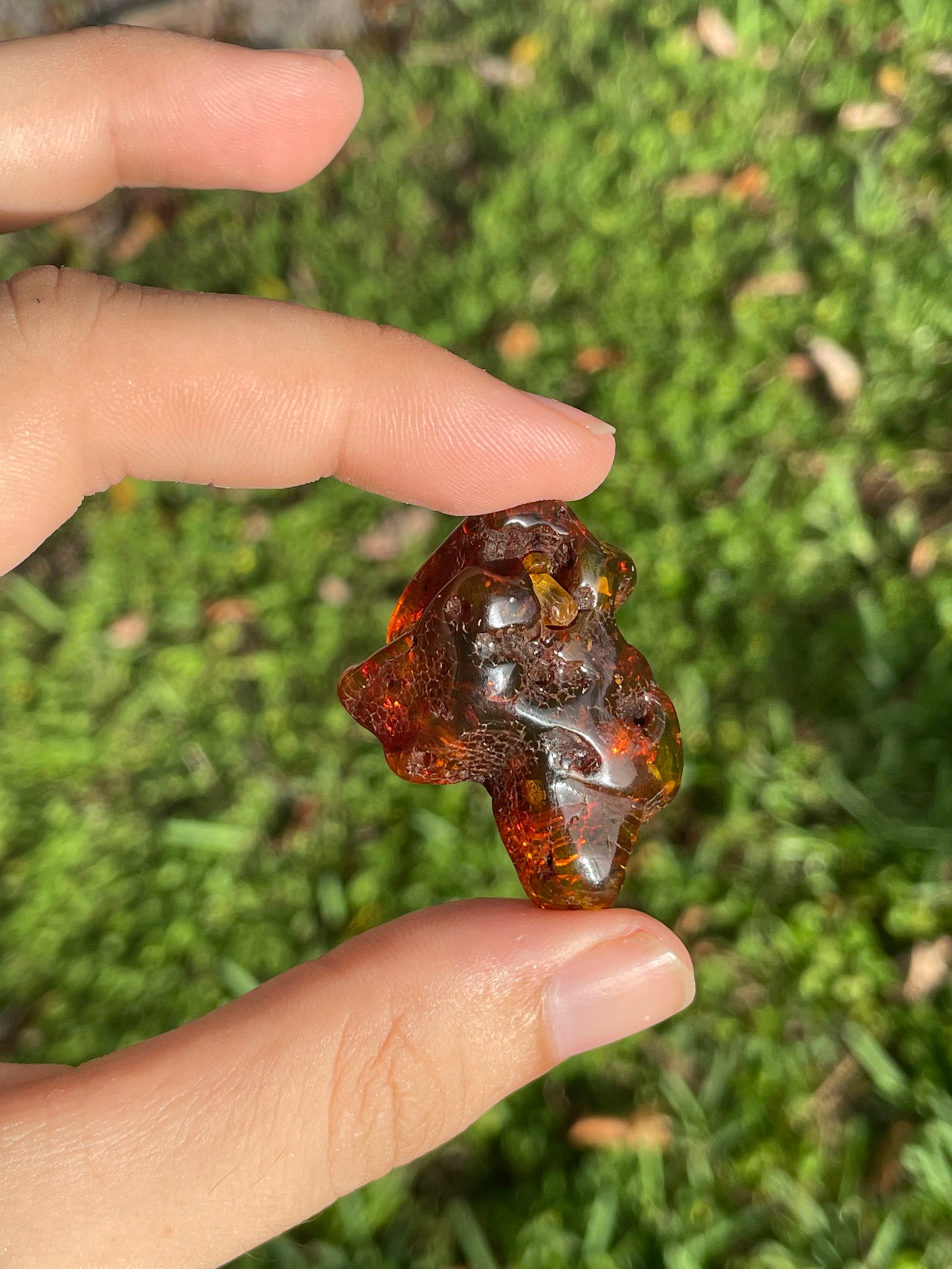 Amber Chunk