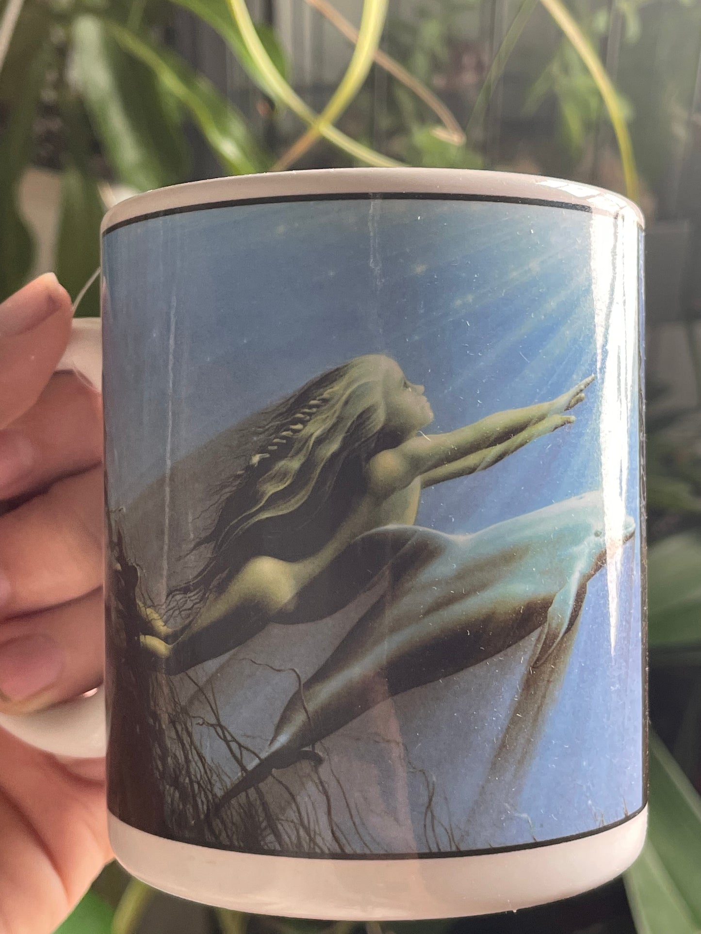 Gilbert Williams Dolphin Mug