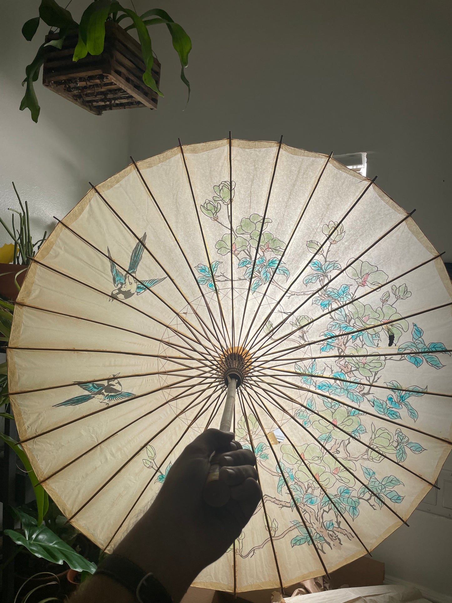 Antique Paper and Bamboo Umbrella