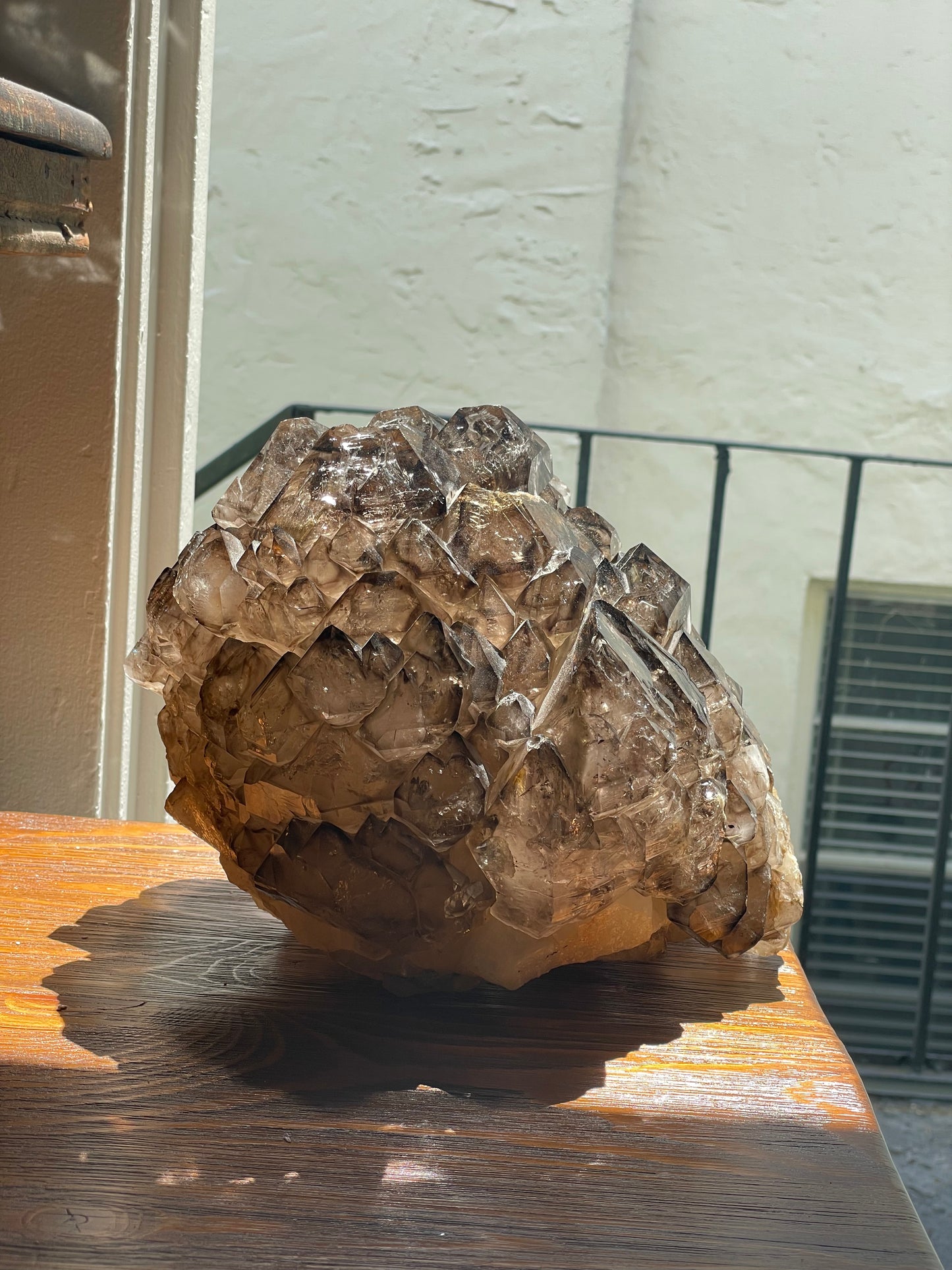 “Jacaré” Alligator Smokey Quartz XL