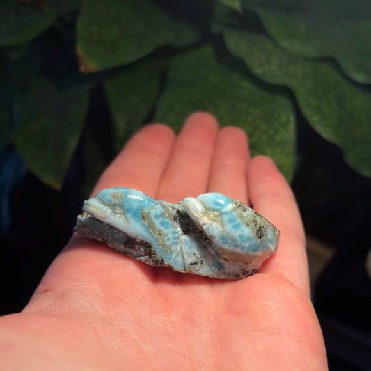 Carved Larimar Pair of Dolphins
