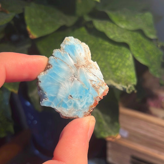 Larimar Slice