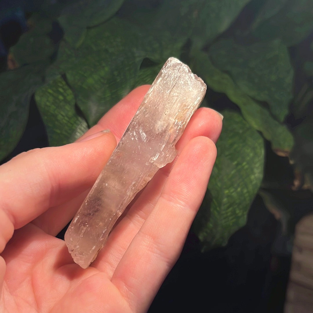 Clear Kunzite