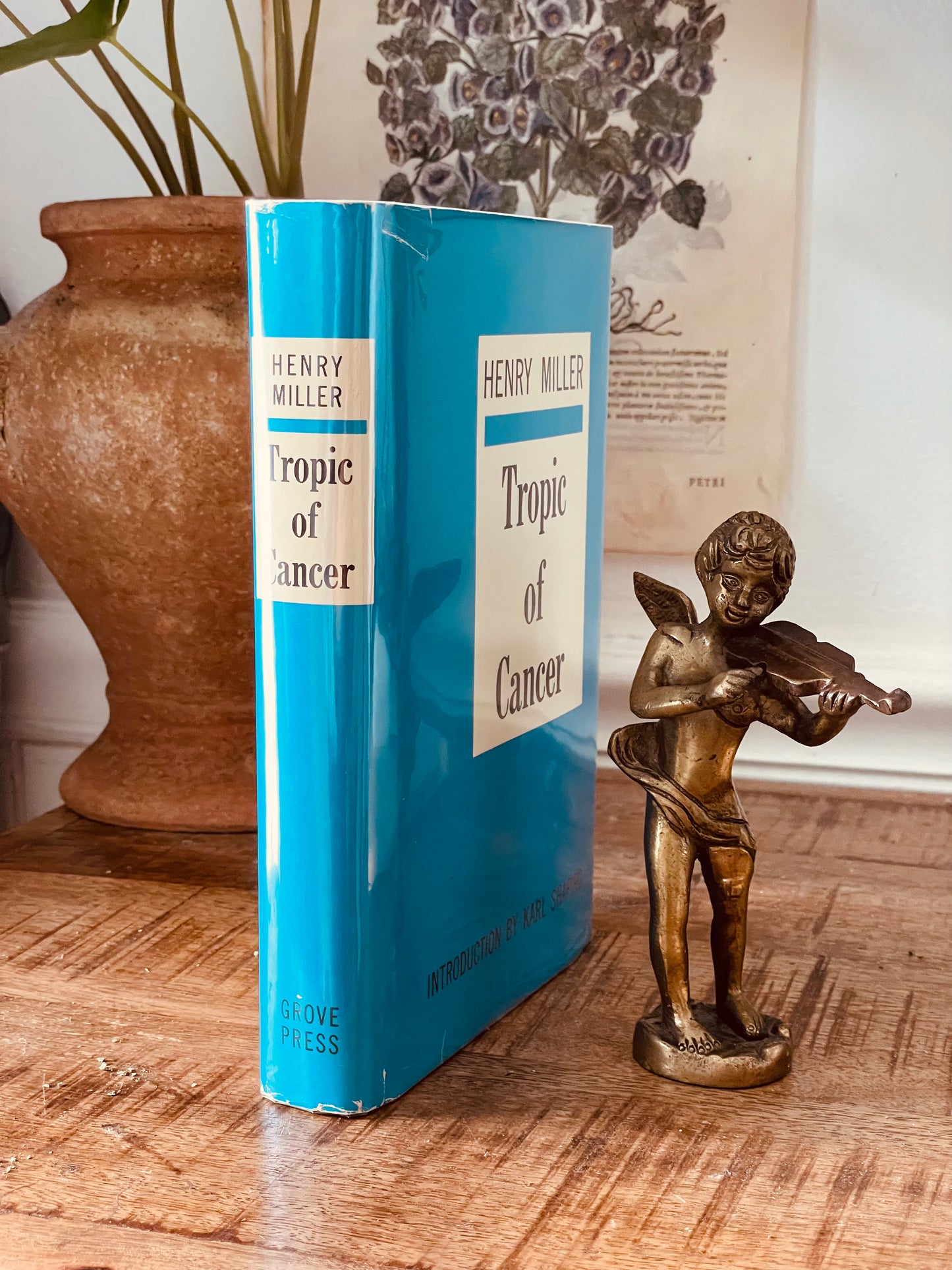 Tropic of Cancer by Henry Miller (1961)
