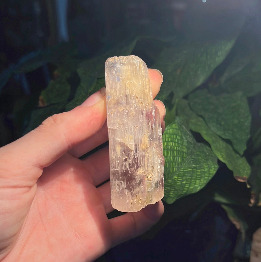 Clear Kunzite