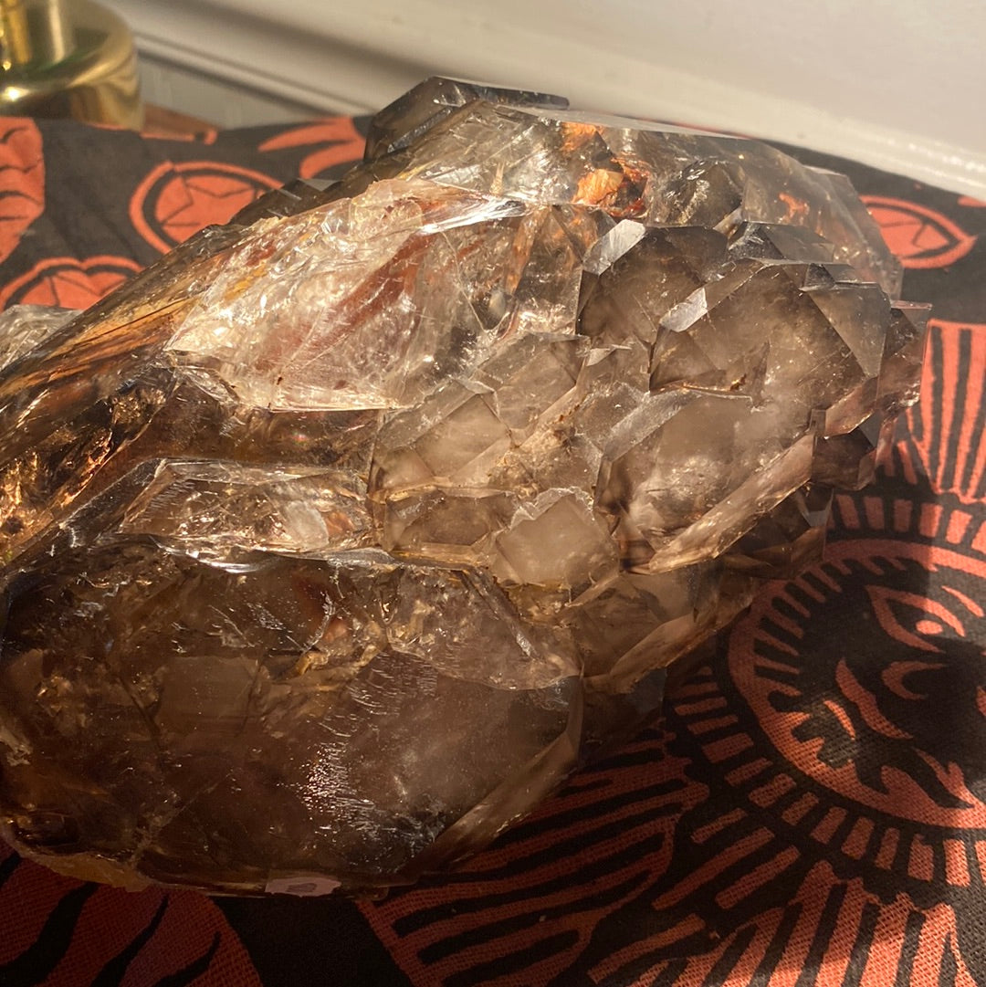 “Jacaré” Alligator Smokey Quartz XL