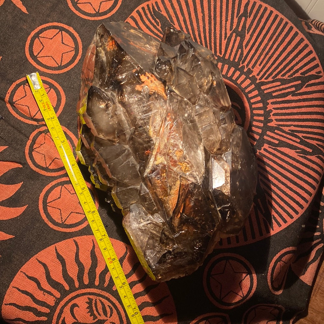 “Jacaré” Alligator Smokey Quartz XL