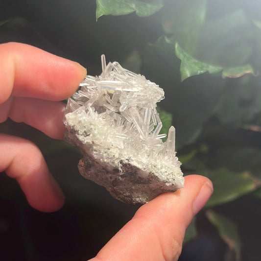 Quartz with Pyrite