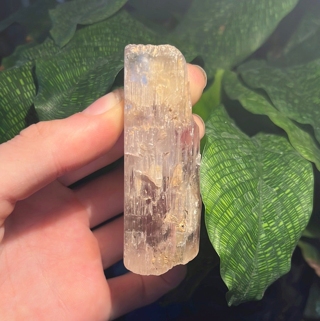 Clear Kunzite