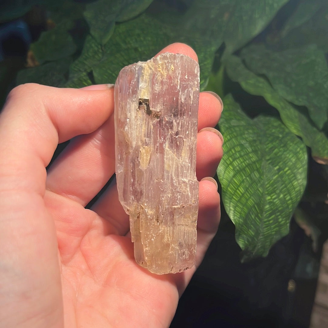 Clear Kunzite