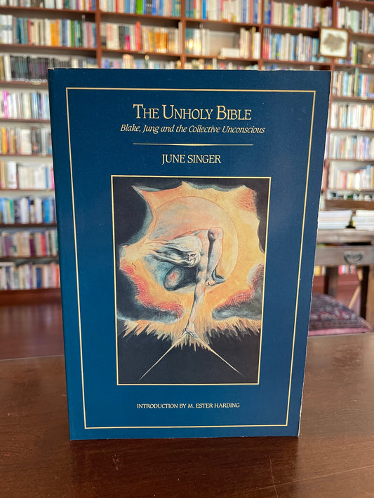 The Unholy Bible by June Singer
