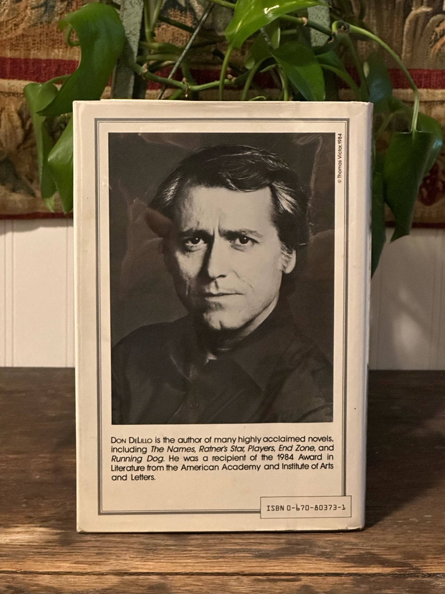 White Noise by Don Delilo (First Edition)