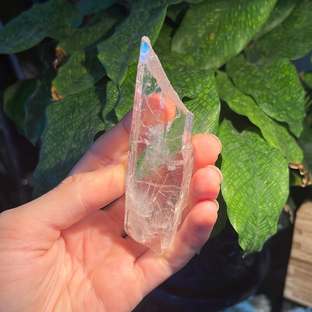 Kunzite Slice