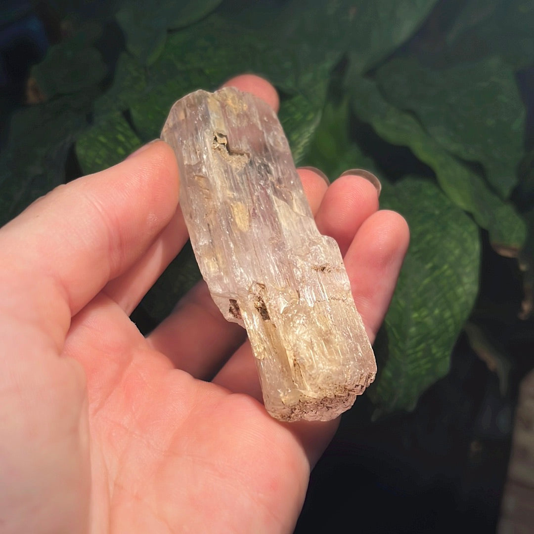 Clear Kunzite