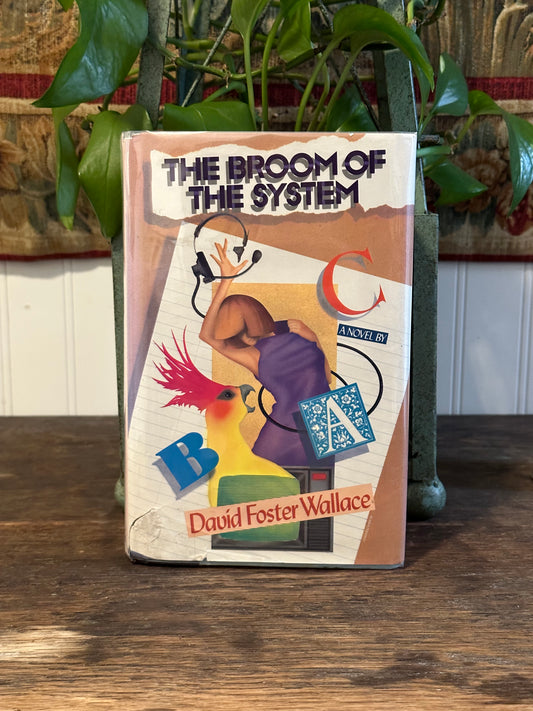 The Broom Of The System by David Foster Wallace (First Edition)