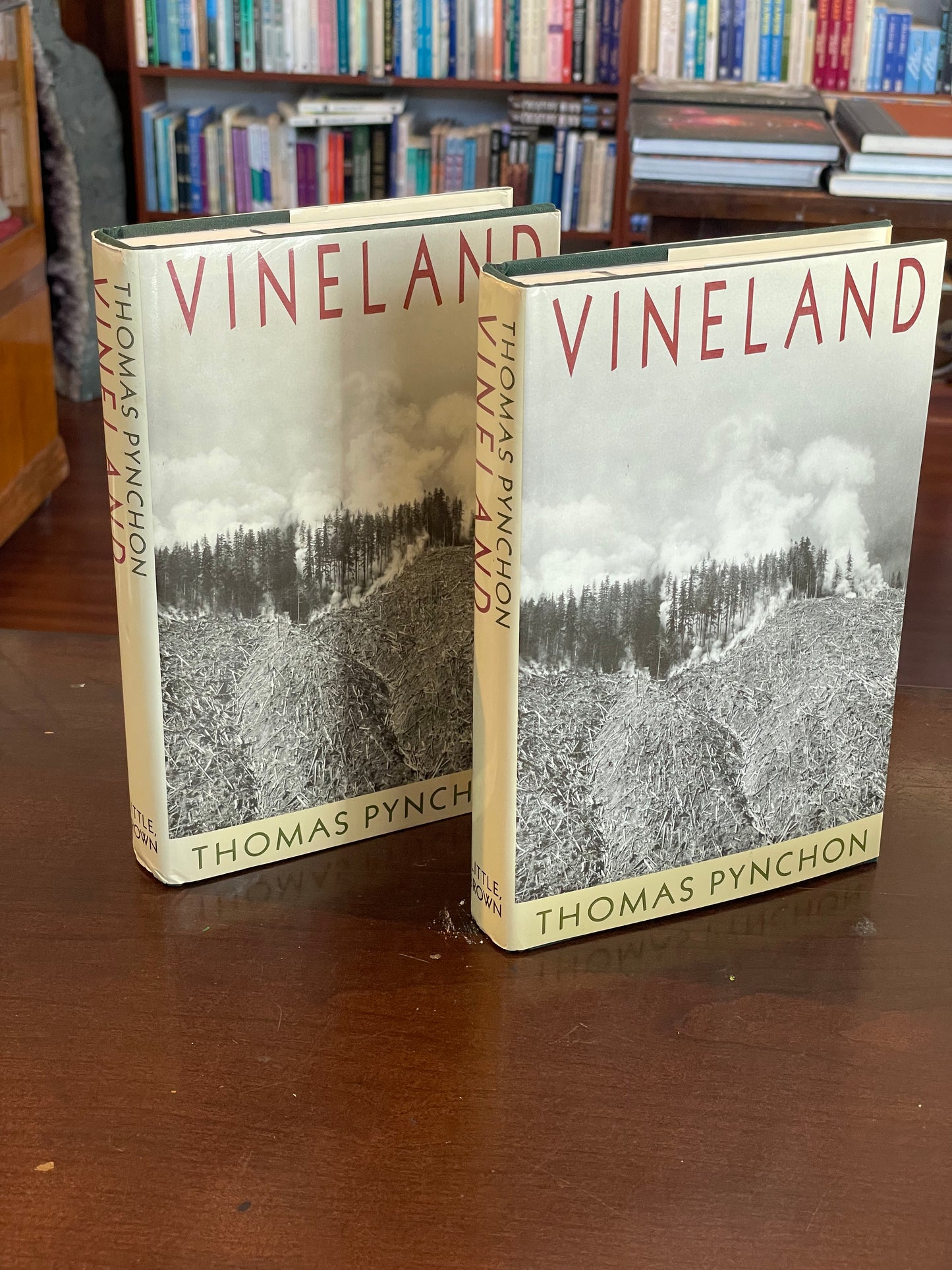 Vineland by Thomas Pynchon (first edition)