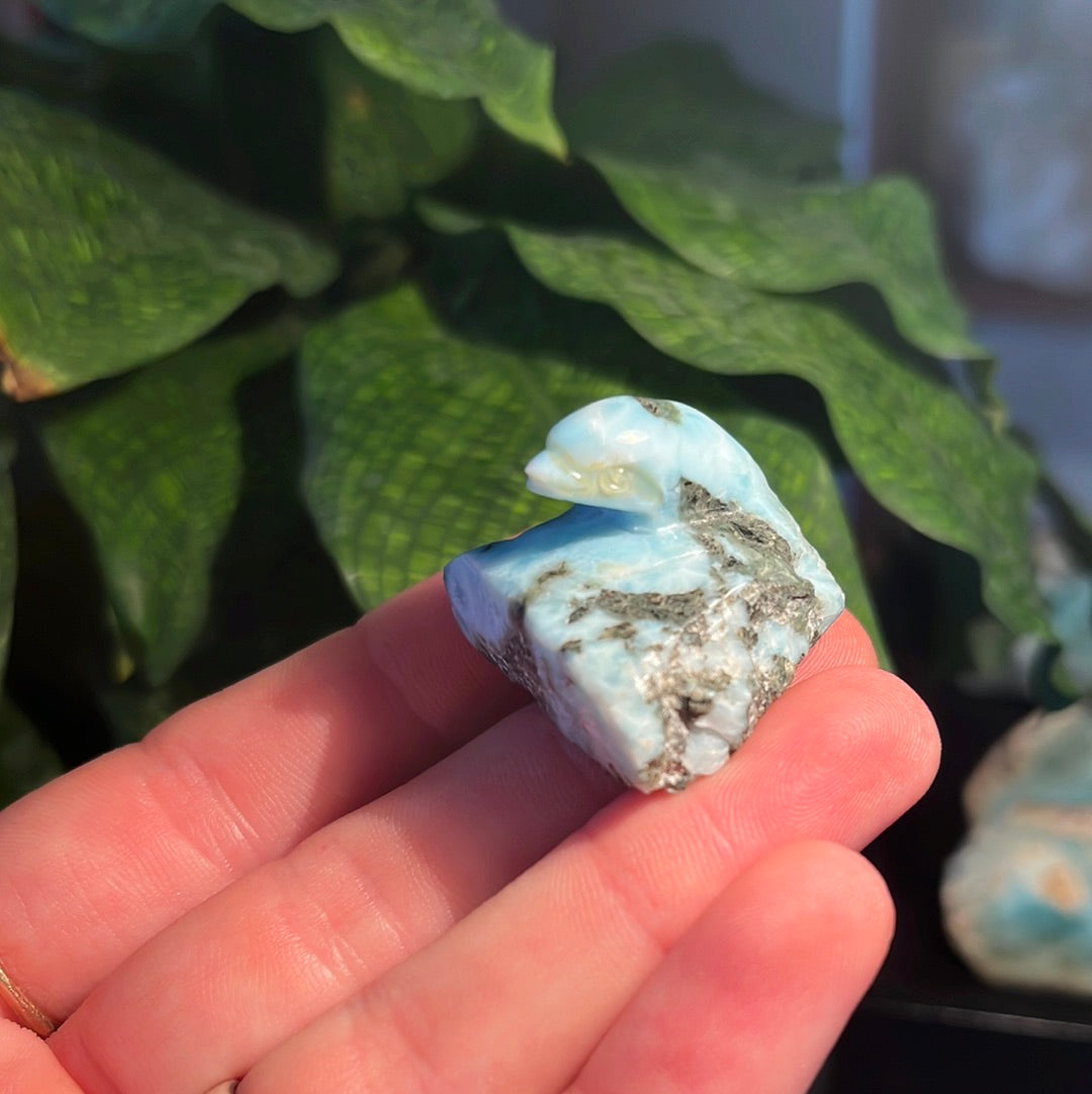 Carved Larimar Dolphin