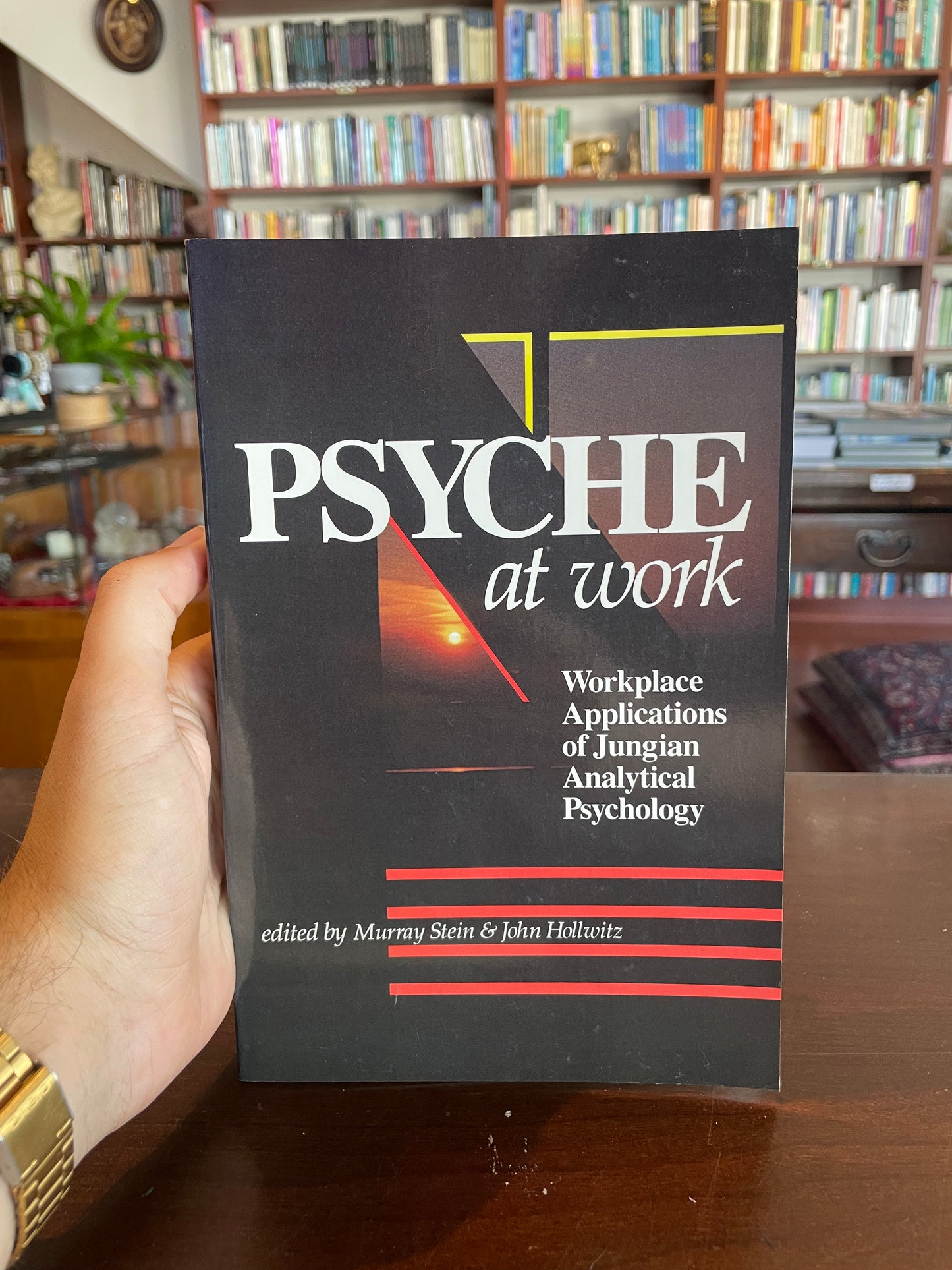 Psyche at Work by Murray Stein & John Hollwitz