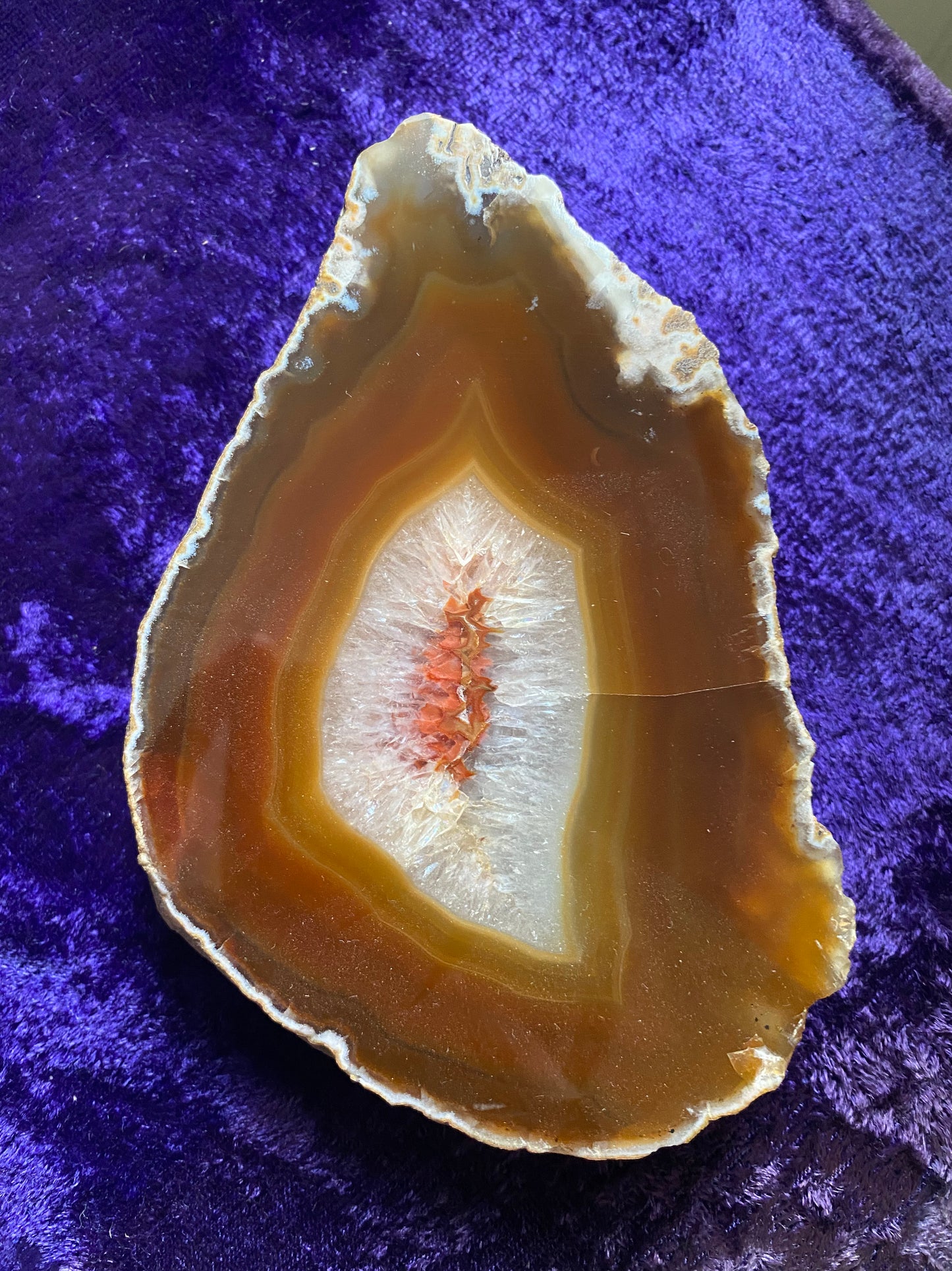 Slice of Amber Agate