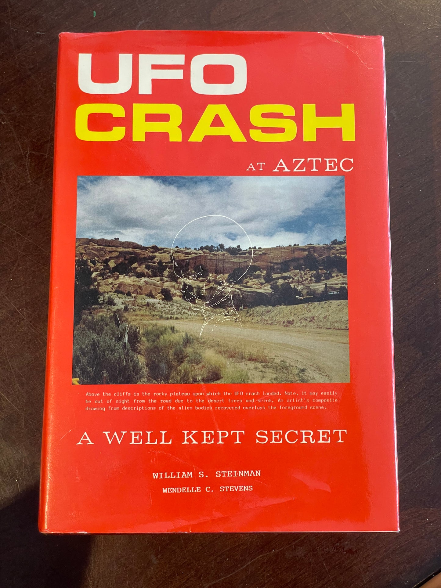 UFO Crash at Aztec by William Steinman