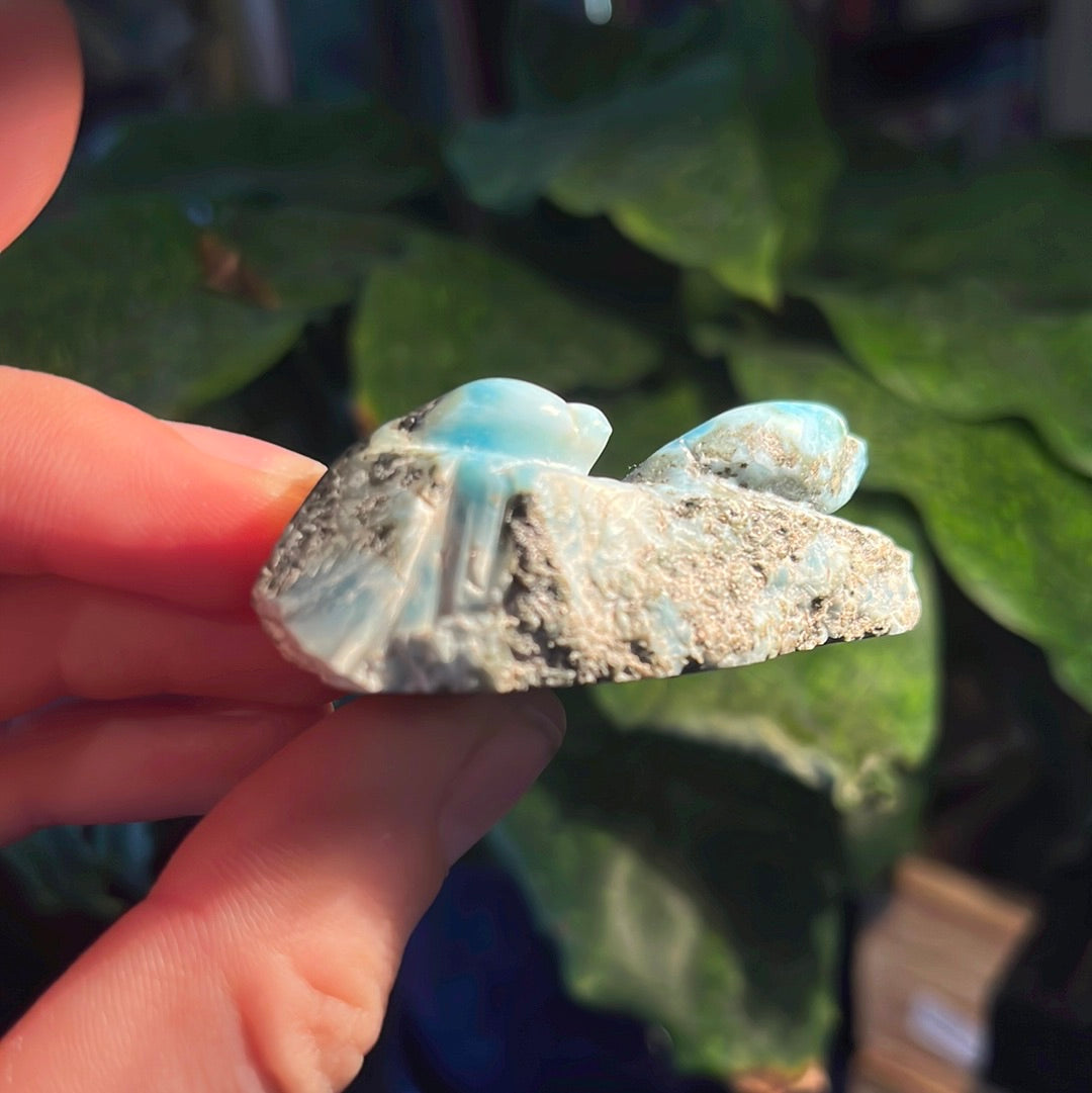 Carved Larimar Pair of Dolphins