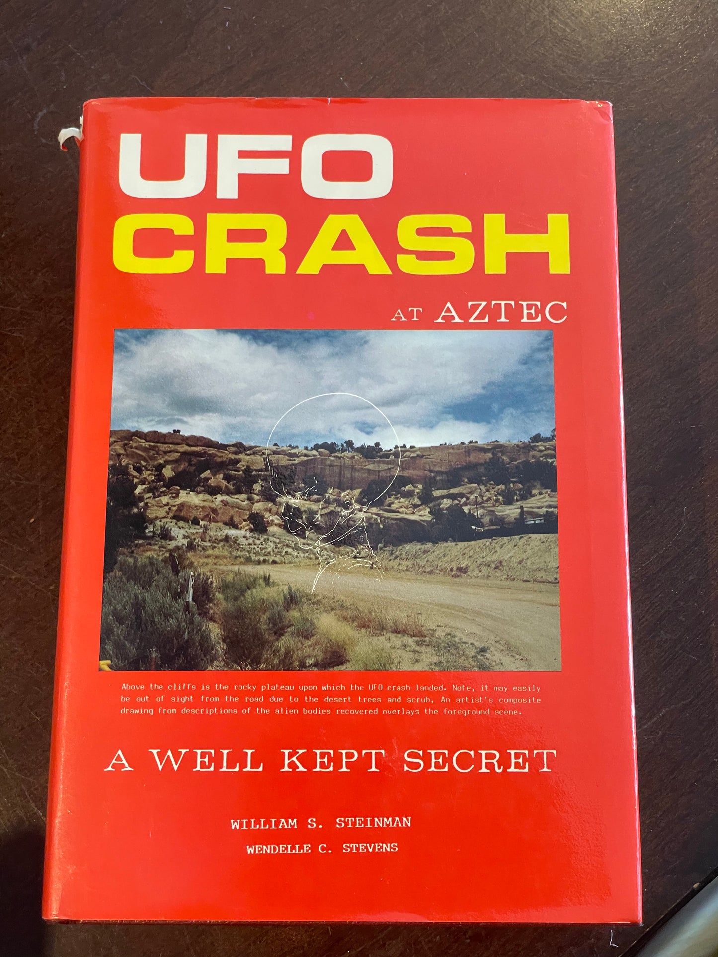 UFO Crash at Aztec by William Steinman Limited First Edition